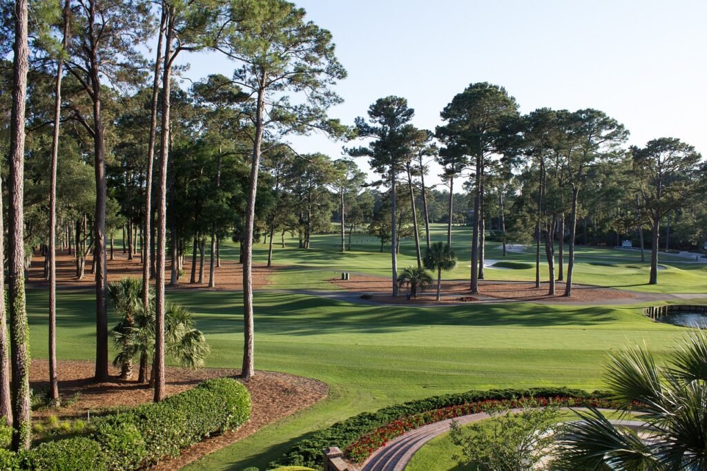 Golf Course South Carolina where lot of trees in Golf Course