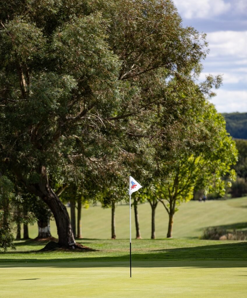 Golf Course in India where lot of trees in a golf course