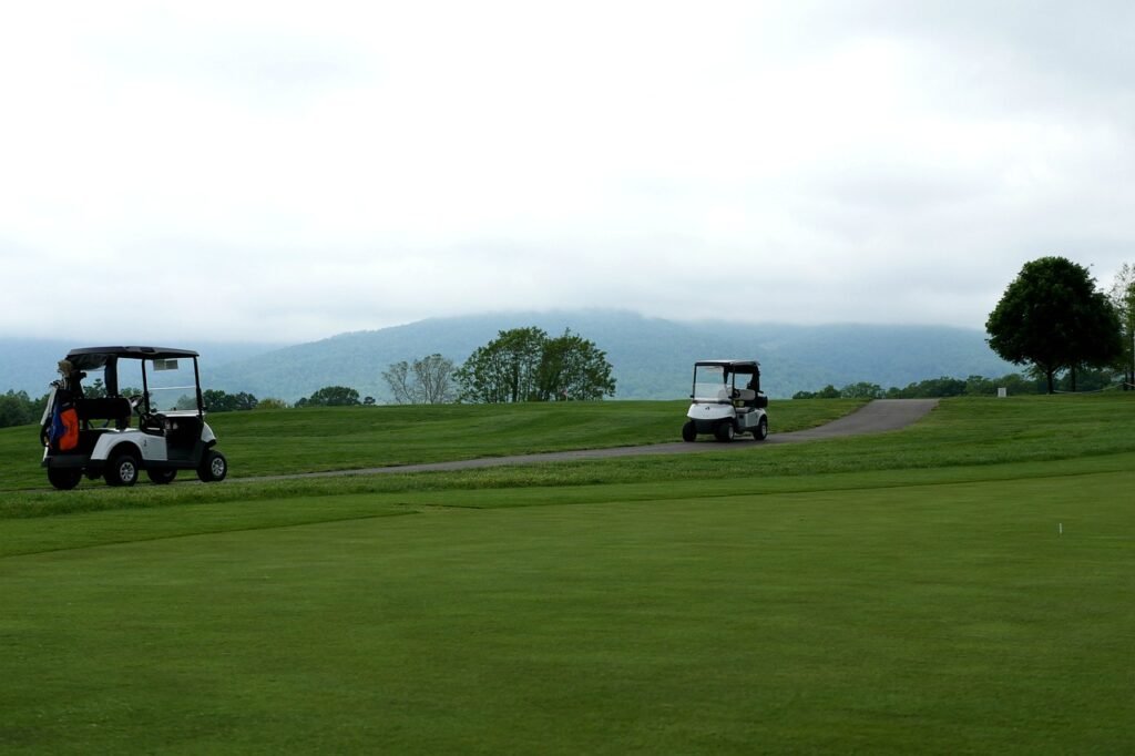 two 100 ah batteries golf carts in a green golf course