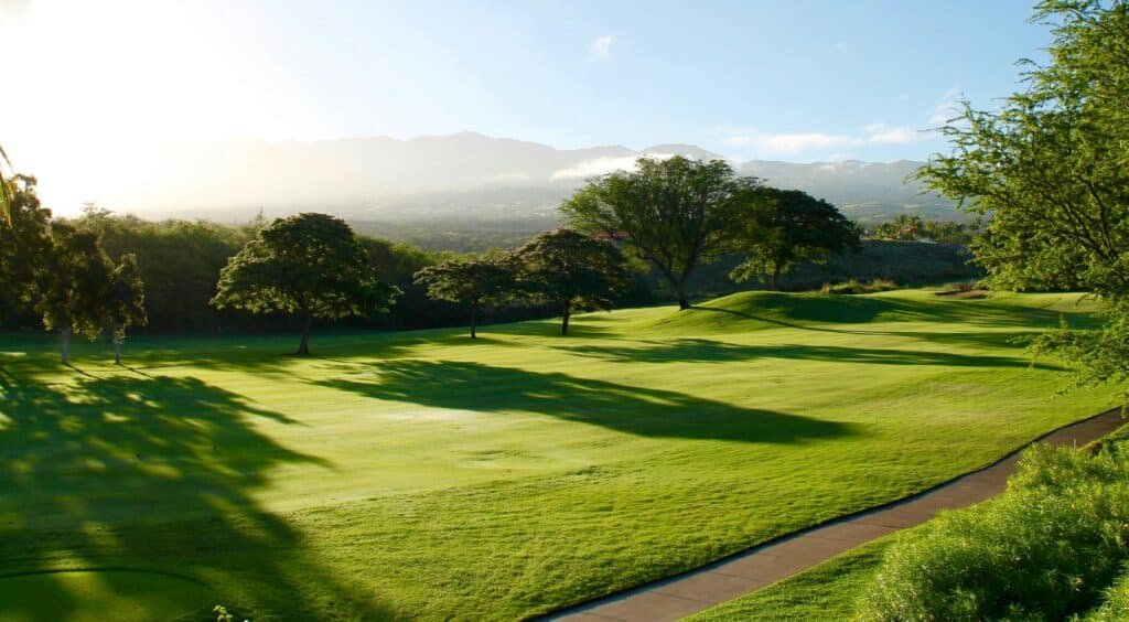 Golf Course Maintenance Serene view of a lush green golf course surrounded by trees and mountains, bathed in sunlight.